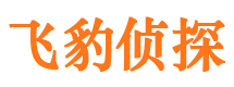 塔河市侦探公司